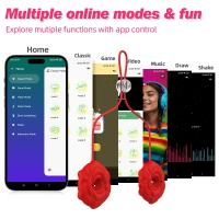 Leten 9 Vibraciones Clamps con Cadena Vibrador Portátil Recargable de Silicona para Mujeres, Parejas, Juguetes para Adultos Certificado CE - details 9