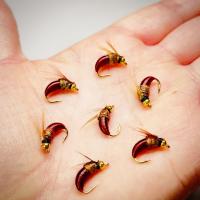 5 uds/10 Uds cabeza de cuentas de latón biónicos Ninfa Scud mosca insecto gusano para trucha pesca de lubina Ninfa cebo para insectos artificiales tamaño del señuelo # 10 - details 6