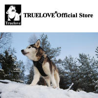 Truelove-arnés de nailon reflectante para perros grandes, Correa Vehicular de seguridad ajustable, acolchada para todo tipo de clima, TLH5651 - details 7