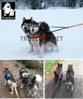 Truelove-correa doble de nailon reflectante para perro, acoplador para dos perros, sin enredos, para mascotas, entrenamiento de todas las razas, para correr, TLL2371, envío directo - details 4