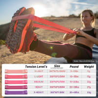 Bandas de ejercicio con bucle de resistencia, banda elástica de 5 niveles de resistencia diferentes, adecuada para estiramiento de piernas y brazos y entrenamiento de fuerza - details 0