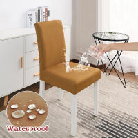 Coolazy-Funda de LICRA para Asiento de Comedor, Fundas Elásticas impermeables para Sillas de boda, 1 pieza - details 19