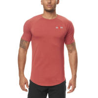 Fitness Sports Muscle T-shirt Men's Summer Fast Drying Slim Fitting Sweat Absorbing Breathable Thin Short Sleeve - details 11