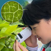 Kids Toys Science Experiment Pocket Microscope Kits 60-120x Educational Mini Handheld Microscope Light Children STEM Toy Gifts - details 4