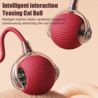 Juguetes de Gato elegante, bola rodante automática, cola falsa, recargable, eléctrico, juguete interactivo para mascotas, entrenamiento de gato, cola de ratón de imitación, 1 ud. - details 0