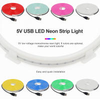 Tira de neón alimentada por batería 5V 2835 120Leds/M cuerda de cinta Flexible señal de luz de neón LED decoración DIY para el hogar blanco/azul/rosa/amarillo - details 1