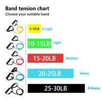 Bandas de resistencia con asas para ejercicio, entrenamiento de fuerza para hombres y mujeres, equipo de entrenamiento en casa, banda de tubo de 5 niveles, cuerda de tracción - details 0