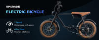 Bicicleta Eléctrica de Neumáticos Anchos 750W 48V 15AH Batería de Litio Extraíble - details 0