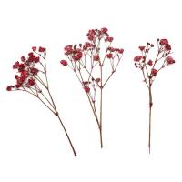 12 Uds ramos de Gypsophila moda colorida flor de Gypsophila seca ramos de flores secas realistas - details 1