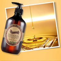 Aceite esencial de masaje térmico de jengibre de 500ml, calor para todo el cuerpo, empuje para tomar el aceite corporal para raspar Tongluo frío, promueve el metabolismo - details 10