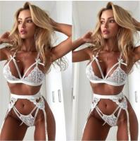 Conjuntos de sujetador de encaje para mujer, lencería Sexy, ropa interior Sexy para mujer, picardías fino y transpirable, conjunto de ropa interior, monos exóticos - details 3