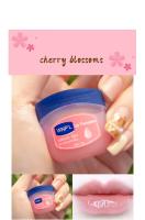 Pomada Labial Mojatadora Natural de Plantas Cuidado Labial Antigrietas con Mascarilla de Jabón de Pez Herramientas de Cuidado de la Piel Facial - details 10