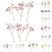 12 Uds ramos de Gypsophila moda colorida flor de Gypsophila seca ramos de flores secas realistas - details 2