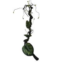 Planta Artificial de 1,75 M, hojas postizas de ratán artesanales, se doblan y cuelgan libremente en la pared para decorar el ratán simulado - details 2