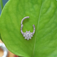 Anillo de segmento con bisagras de acero quirúrgico, cartílago de la oreja, hélice rook tragus, 16g, piercing para la oreja, Aro para la nariz, septum, clicker, 100% - details 10