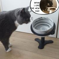 Soporte de Bol de Alimento para Gatos de Acero Inoxidable de Alta Calidad - details 1