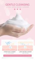 Crema de Limpieza RichFoam Protección Solar Sakura Limpieza Profunda para Cara Oiliosa - details 6