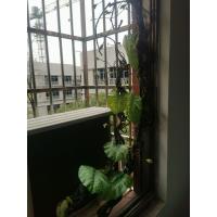 Planta Artificial de 1,75 M, hojas postizas de ratán artesanales, se doblan y cuelgan libremente en la pared para decorar el ratán simulado - details 9
