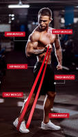Bandas de resistencia premium Entrenamiento de fuerza mejorado para desarrollar músculos Solución versátil de gimnasio en casa para fitness Yoga Pilates - details 9