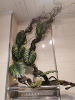 Planta Artificial de 1,75 M, hojas postizas de ratán artesanales, se doblan y cuelgan libremente en la pared para decorar el ratán simulado - details 0