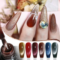 Parkson-esmalte de uñas de Gel magnético, 6 colores, 10ML - details 4