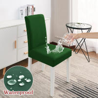 Coolazy-Funda de LICRA para Asiento de Comedor, Fundas Elásticas impermeables para Sillas de boda, 1 pieza - details 14
