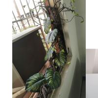 Planta Artificial de 1,75 M, hojas postizas de ratán artesanales, se doblan y cuelgan libremente en la pared para decorar el ratán simulado - details 7
