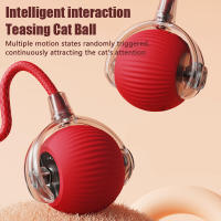Juguetes de Gato elegante, bola rodante automática, cola falsa, recargable, eléctrico, juguete interactivo para mascotas, entrenamiento de gato, cola de ratón de imitación, 1 ud. - details 3