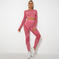 Conjunto de Yoga Sin Costuras Hueco Out para Mujeres Traje Deportivo de 2 Piezas Top Corto Sujetador Leggings Para Gimnasio Fitness Set de Primavera/Verano Hecho en China Material Elástico y Poliéster - details 51