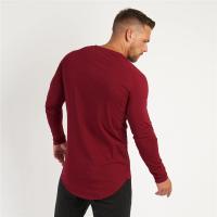 Gym T-Shirt Men Spring Cotton T-Shirt Fitness Men Solid Sports Tshirt O-neck Long Sleeve Tops Men Slim Fit Tee Shirts - details 16