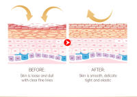 Crema para los Ojos Pro-Xylane Reduce Líneas Finas, Dark Circles, Hinchazón, Edad - details 6