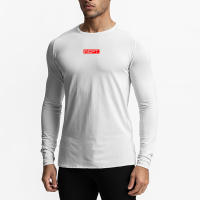 Running Shirt Men Round Neck Sportswear Tight Fitness Slim Fit Jogging Quick Dry Exercise Gym Long Sleeve Shirt - details 7