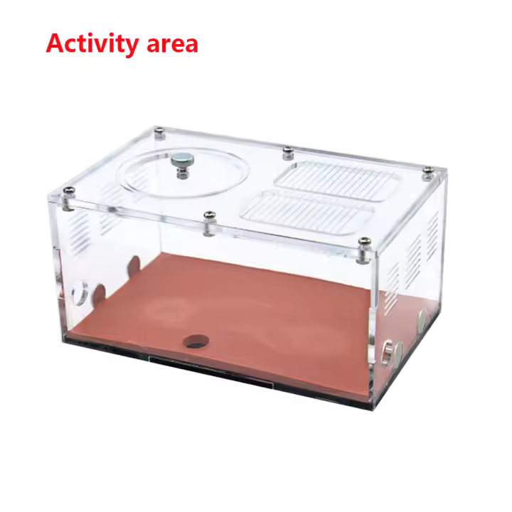 Granja de hormigas acrílica con Control de temperatura, nido de hormiga de hormigón, expansión infinita, casa de insectos, bebedero de Colonia, Kit de accesorios - 1