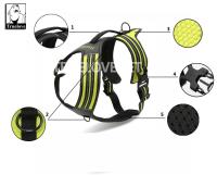 Truelove-arnés deportivo de nailon reflectante para perro, chaleco de aventura al aire libre con asa, disponible en 5 colores, TLH5551 - details 7