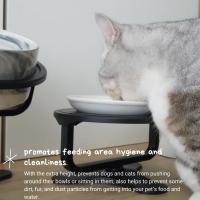 Soporte de Bol de Alimento para Gatos de Acero Inoxidable de Alta Calidad - details 2