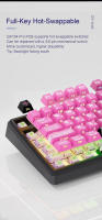 SKYLOONG GK104 Pro Teclado Gamer Mecánico Tamaño Completo Inalámbrico Retroiluminado RGB - details 12