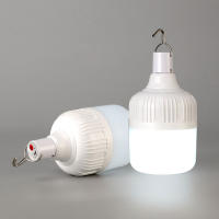 Linterna led portátil con carga USB, Bombilla colgante recargable de 30W, 20W, 50W, para tienda de campaña, vendedor callejero, luz de emergencia - details 0