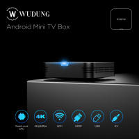 WUDUNG W01 Mini Android 10 Allwinner H313 Dispositivo de TV inteligente 2,4G Wifi 4K HD Set Top Box reproductor multimedia 2GB 16GB - details 0