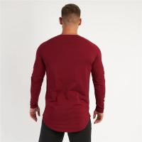 Gym T-Shirt Men Spring Cotton T-Shirt Fitness Men Solid Sports Tshirt O-neck Long Sleeve Tops Men Slim Fit Tee Shirts - details 15