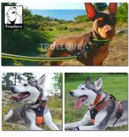 Truelove-Collar acolchado de malla ajustable para perro, Collar de nailon reflectante de 3M, duradero y resistente, para todo tipo de clima, TLC5011 - details 11