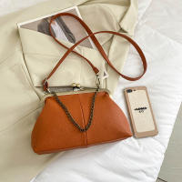 Bolsos de Hombro Vintage para Mujeres Diseño de Cerradura de Cadena Pequeña Bolsa de Mensajero Clip de Marca Bolsos de Cruzado y de Mano - details 25