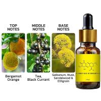 Feromonas fuerte para hombre para atraer a las mujeres, Perfume esencial para el cuerpo, aceite sexualmente estimulante, Perfume Sexy de Androstenone de larga duración - details 2