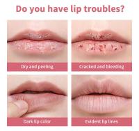 Labial de Miel Rosa de Vitamina E Labial Hidratante y Nutritivo con Acondicionado - details 3