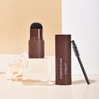 Kit de Plantilla Profesional para Cejas Sello de Polvo Impermeable Herramientas de Cuidado de la Piel de Belleza - details 6