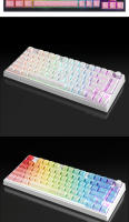 Teclado de Juegos SKYLOONG GK75 HE Interruptor Rápido TKL 8KHz de Poling Rate Topográfica PBT - details 11