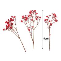 12 Uds ramos de Gypsophila moda colorida flor de Gypsophila seca ramos de flores secas realistas - details 7