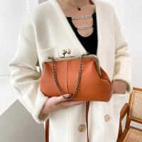 Bolsos de Hombro Vintage para Mujeres Diseño de Cerradura de Cadena Pequeña Bolsa de Mensajero Clip de Marca Bolsos de Cruzado y de Mano - details 12