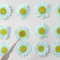 Juego de 12 Uds. De flores secas naturales de 2,5-4cm para rellenos de funda de teléfono DIY, flor de crisantemo de cristal prensado, decoraciones artísticas para uñas - details 6