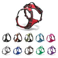 Truelove-arnés de nailon reflectante para perros grandes, Correa Vehicular de seguridad ajustable, acolchada para todo tipo de clima, TLH5651 - details 0