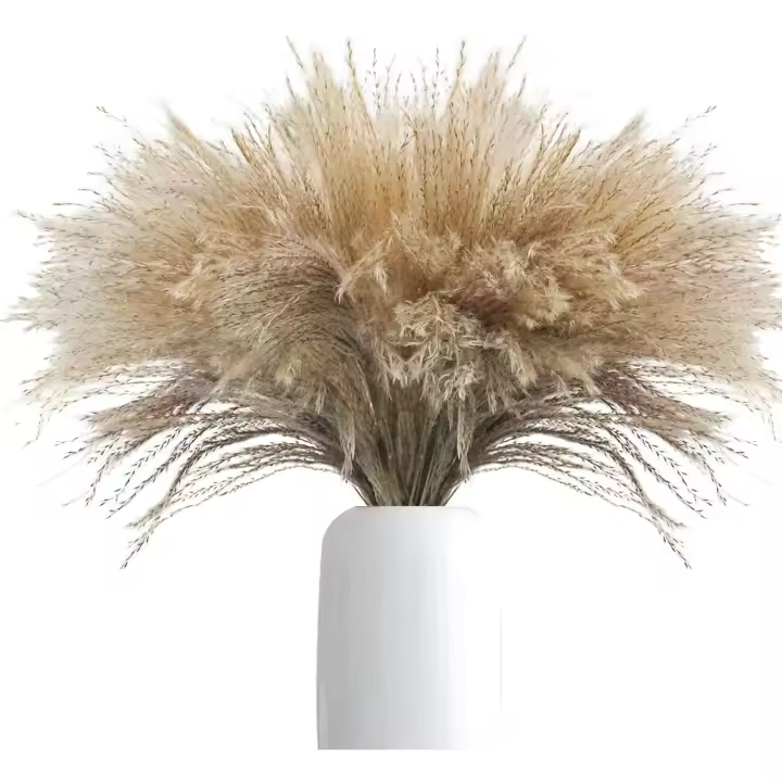 20 piezas de regalo para boda, ramo de flores secas, hierba de Pampas, Phragmites, decoración del hogar - 1